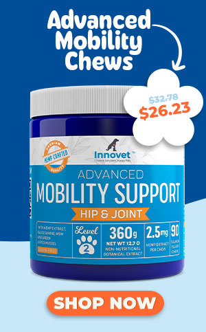 Shop Mobility Chews