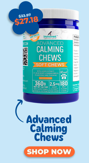 Shop Calming Chews