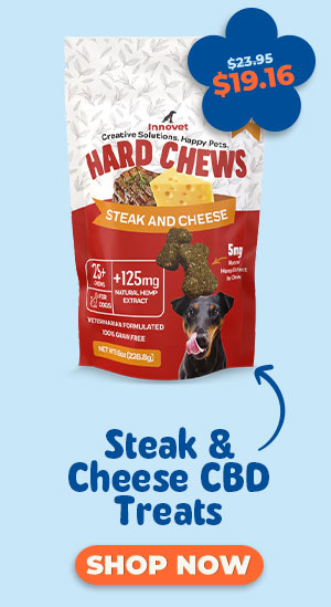 Shop Steak and Cheese CBD Treats