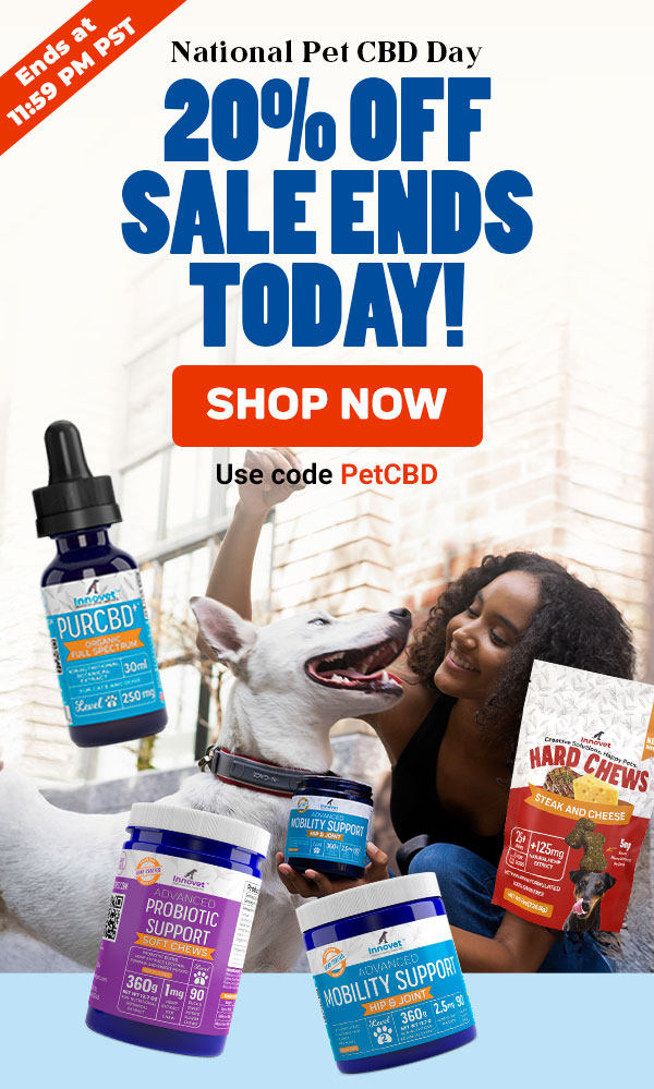 Shop Innovet Pet CBD