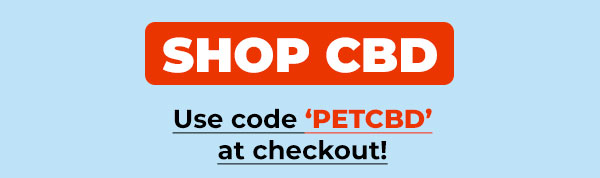 Shop Innovet Pet CBD