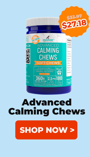Shop Calming Chews
