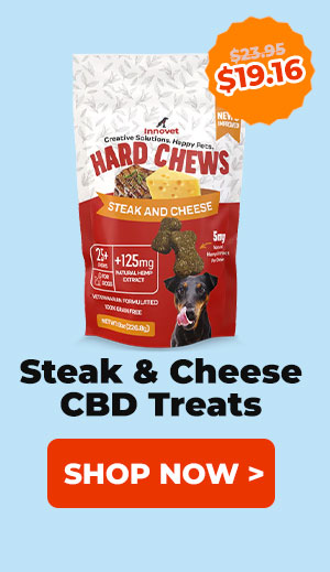 Shop CBD Treats