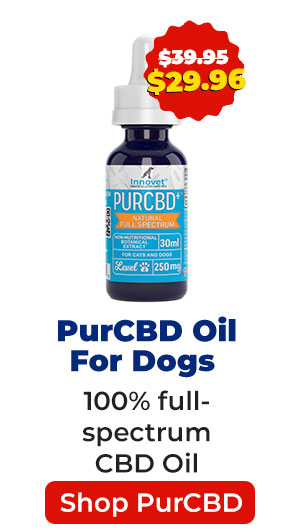 Shop PurCBD Oil