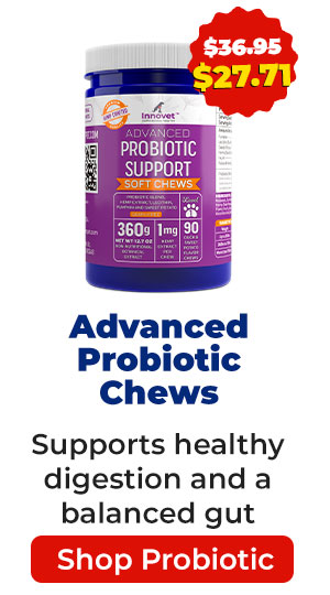 Shop Advanced Probiotic Chews