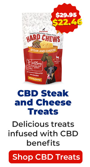 Shop Steak and Cheese Treats