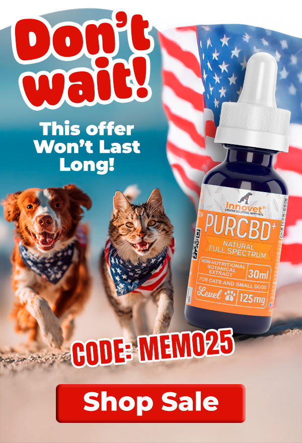 Shop Innovet Memorial Day Sale