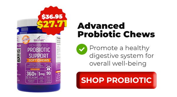 Shop Innovet Probiotic Chews