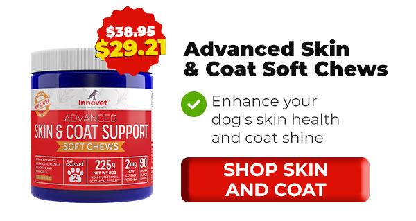 Shop Innovet Skin and Coat Chews
