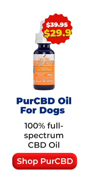 Shop Innovet PurCBD Oil