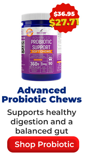 Shop Advanced Probiotic Chews