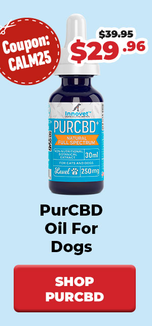 Shop PurCBD Oil For Dogs