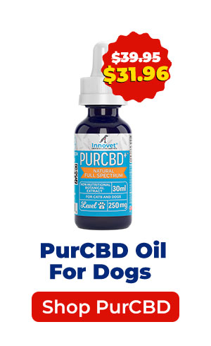 Shop PurCBD Oil For Dogs