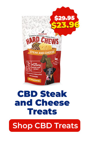 Shop Steak and Cheese Treats