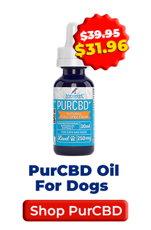 Shop PurCBD Oil For Dogs