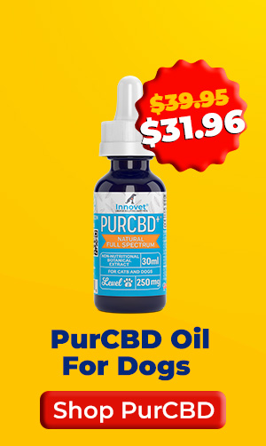 Shop PurCBD Oil For Dogs