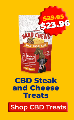 Shop Steak and Cheese Treats
