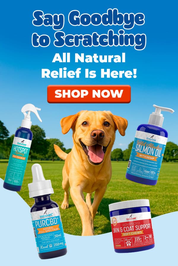 Shop Summer Allergy Relief Collection