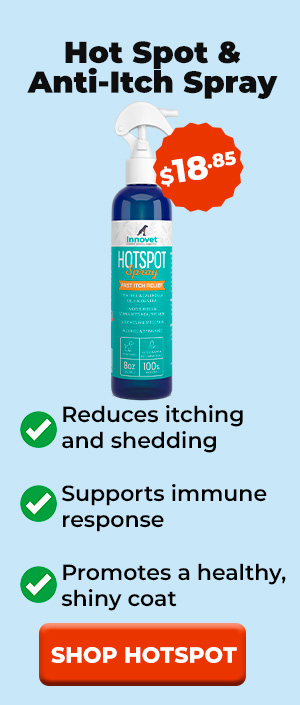 Shop HotSpot Anti Itch Spray