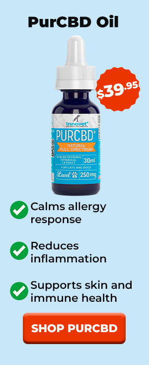 Shop PurCBD Oil