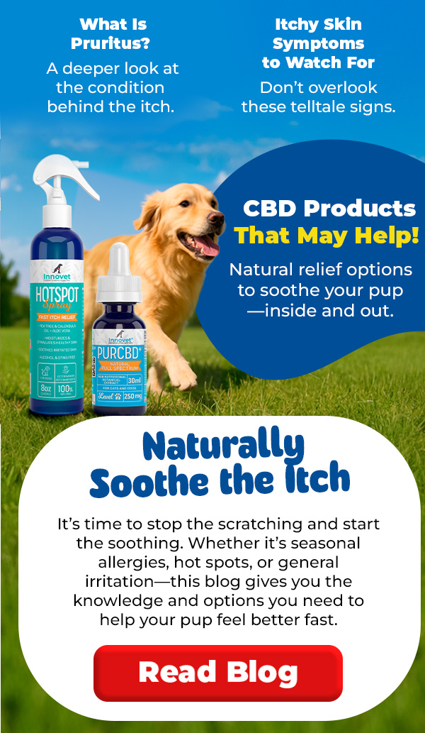Itchy Skin Remedy For Dogs