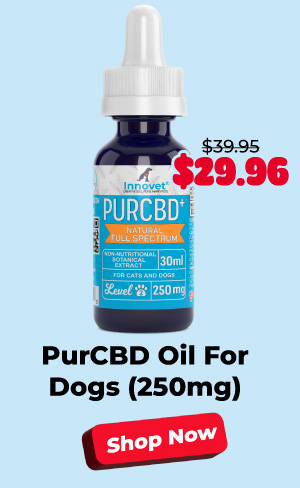 Shop PurCBD Oil