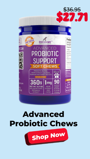 Shop Advanced Probiotic Chews