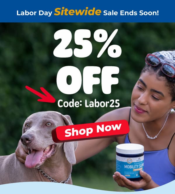 Shop Innovet Labor Day Sale, 25% Off Sitewide