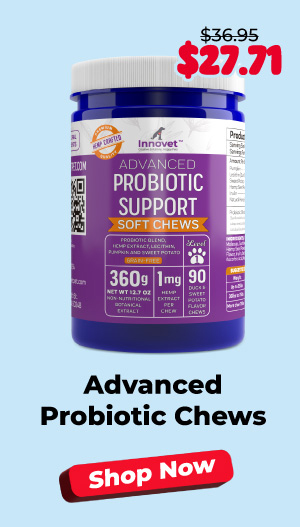 Shop Probiotic Chews