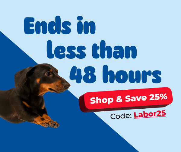 Shop Innovet Pet Labor Day Sale 25% Off