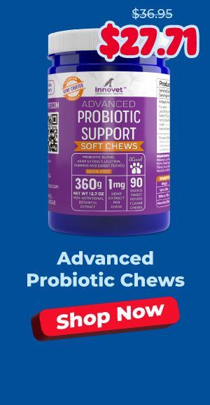 Shop Innovet Probiotic Chews