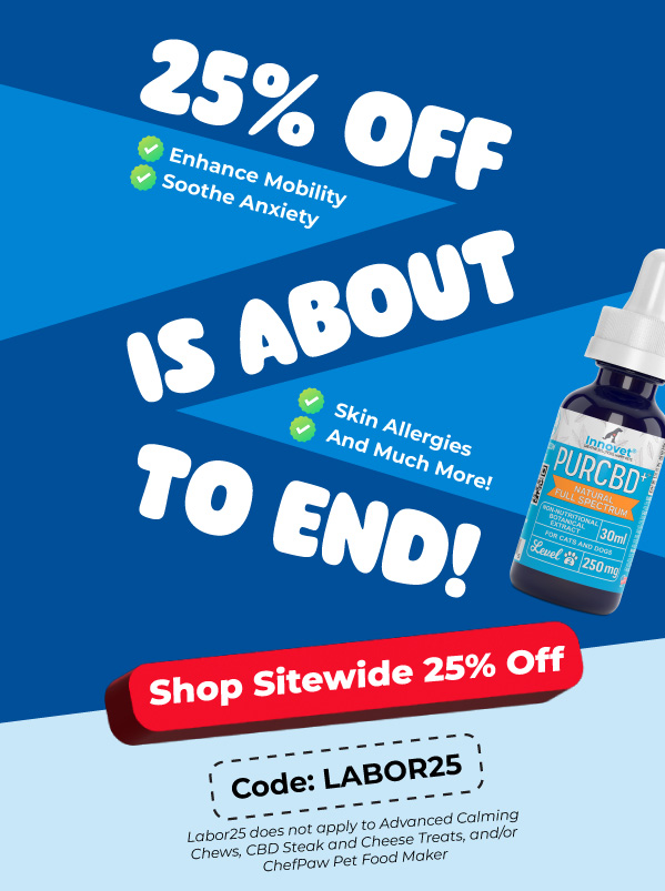 Shop Innovet Labor Day Sale
