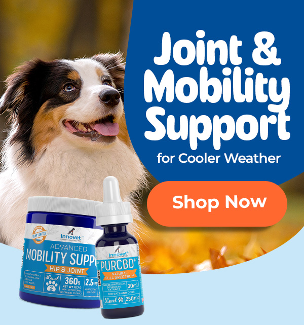 Shop Joint & Mobility Support For Dogs