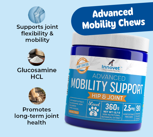 Shop Innovet Advanced Mobility Chews