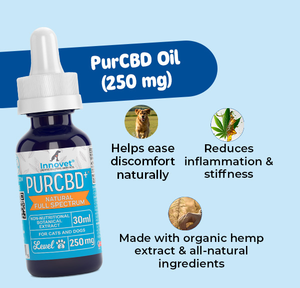 Shop Innovet PurCBD Oil