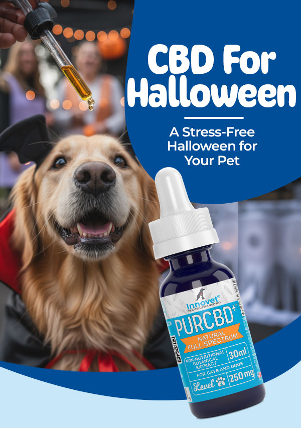 Shop Innovet PurCBD 