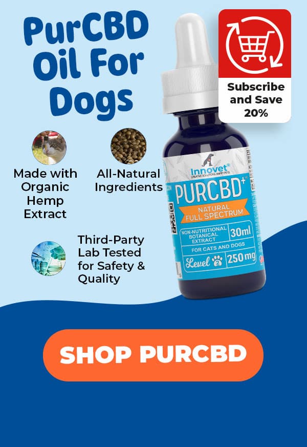 Shop Innovet PurCBD 