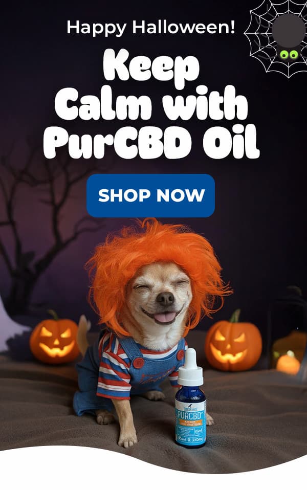 Shop Innovet PurCBD