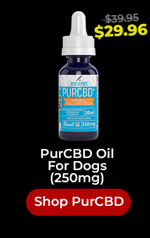 Shop PurCBD Oil 25% Off