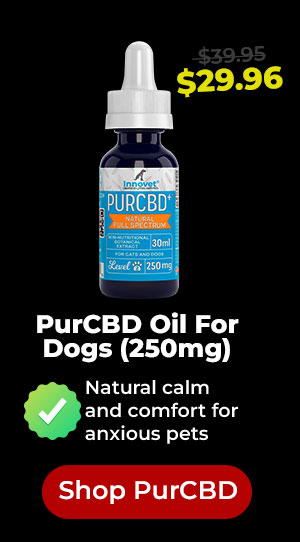 Shop Innovet PurCBD Oil For Dogs 25% Off