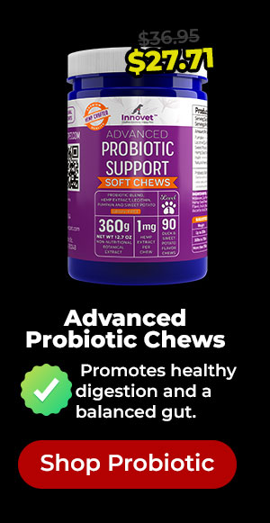 Shop Innovet Advanced Probiotic Chews 25% Off