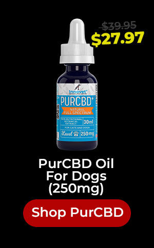 Shop PurCBD For Dogs 30% Off