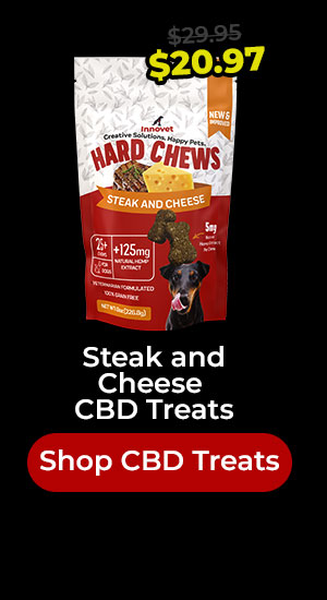 Shop CBD Treats 30% Off