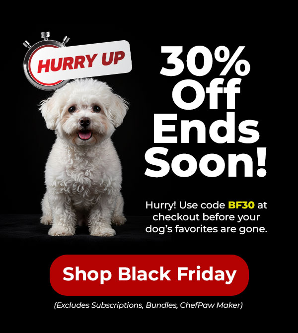 Shop Innovet Black Friday 30% Off