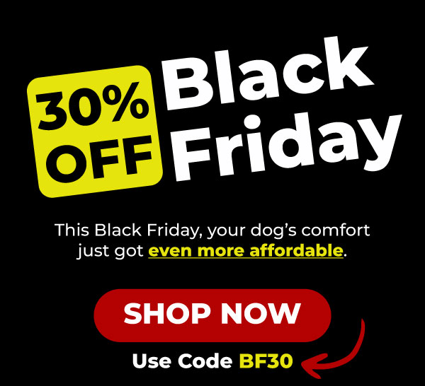 Shop Innovet Black Friday 30% Off