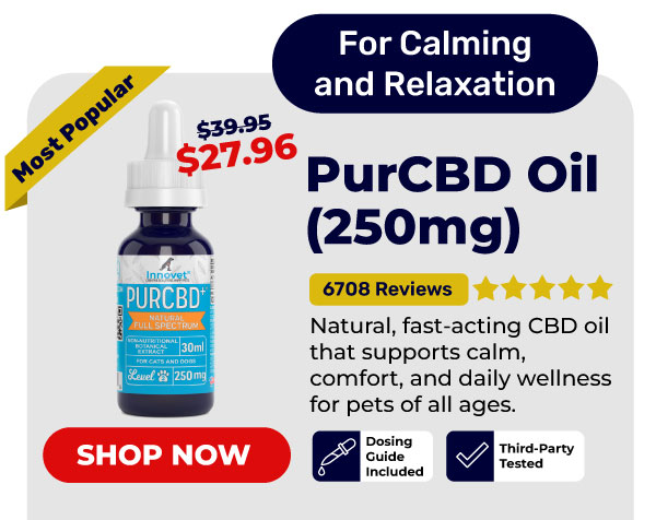 Shop Innovet PurCBD Oil 30% Off