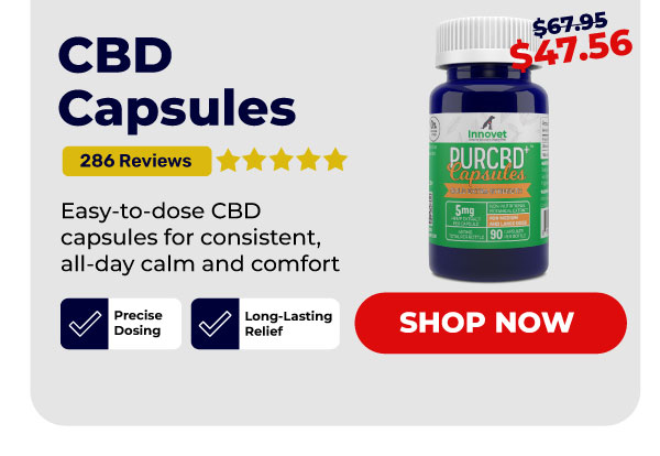 Shop CBD Capsules 30% Off