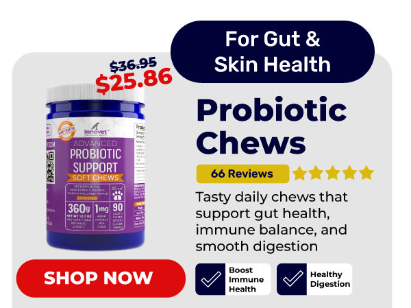 Shop Probiotic Chews 30% Off