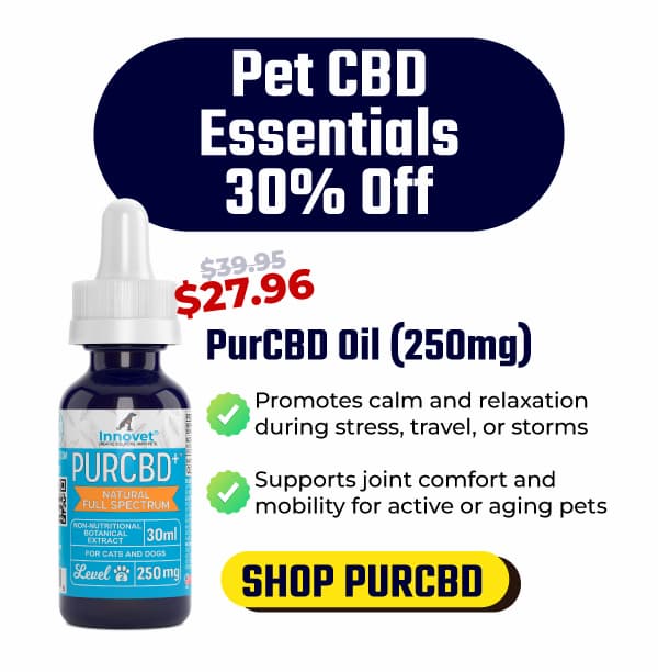 Shop PurCBD Oil Cyber Monday 30% Off