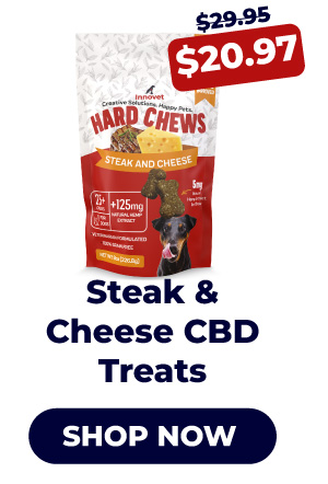 Shop CBD Treats 30% Off